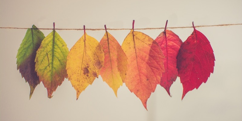 How to Manage Complex Change