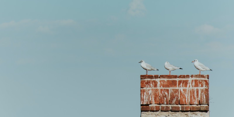 Posts in productivity