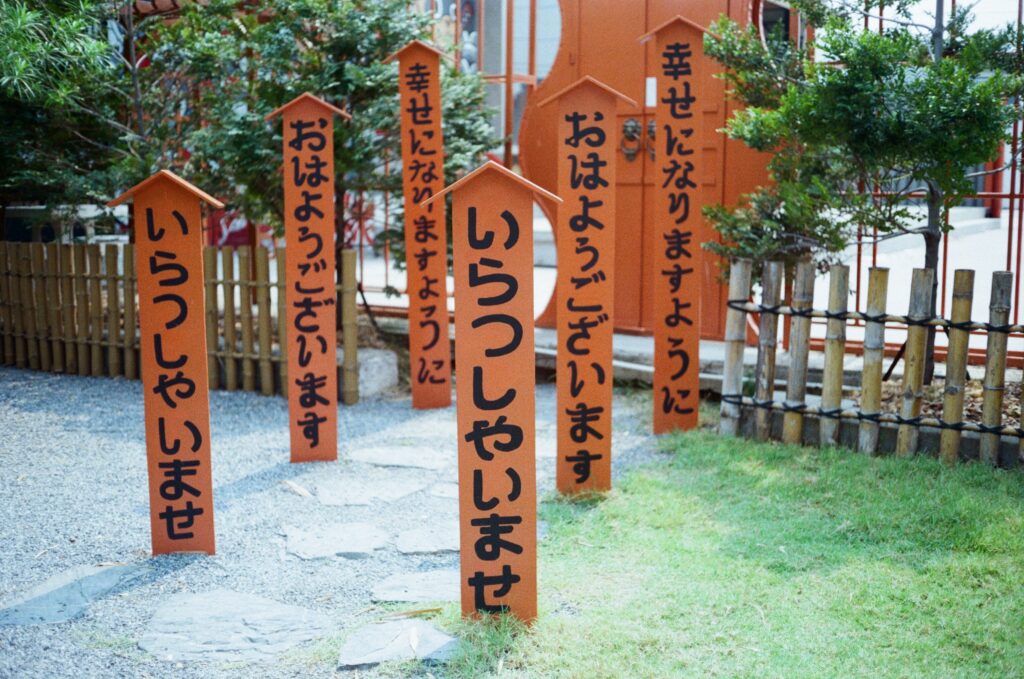 000004200007-1024x679