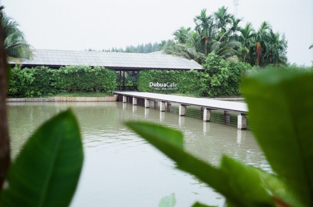 000004200020-1024x679