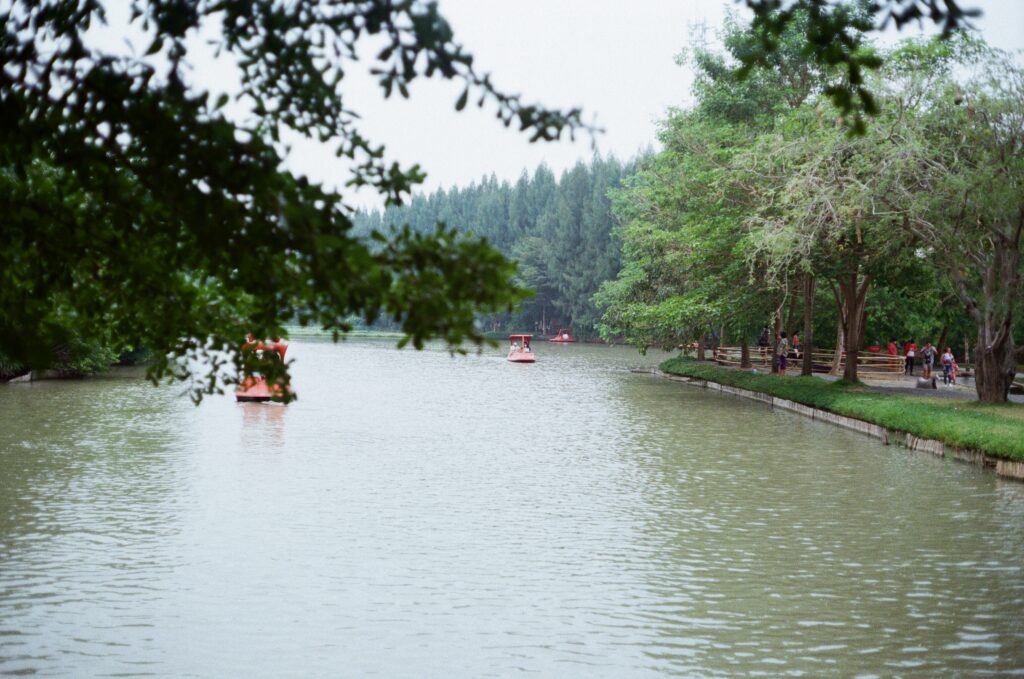 000004200026-1024x679