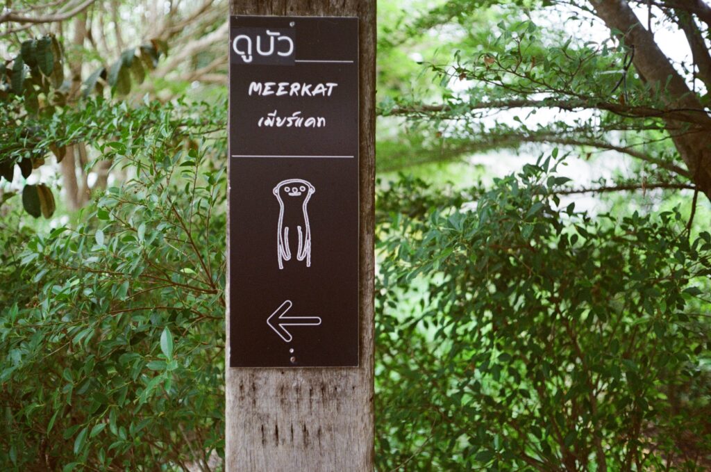 000004200027-1024x679