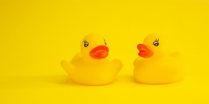 Rubber Duck Debugging คืออะไร
